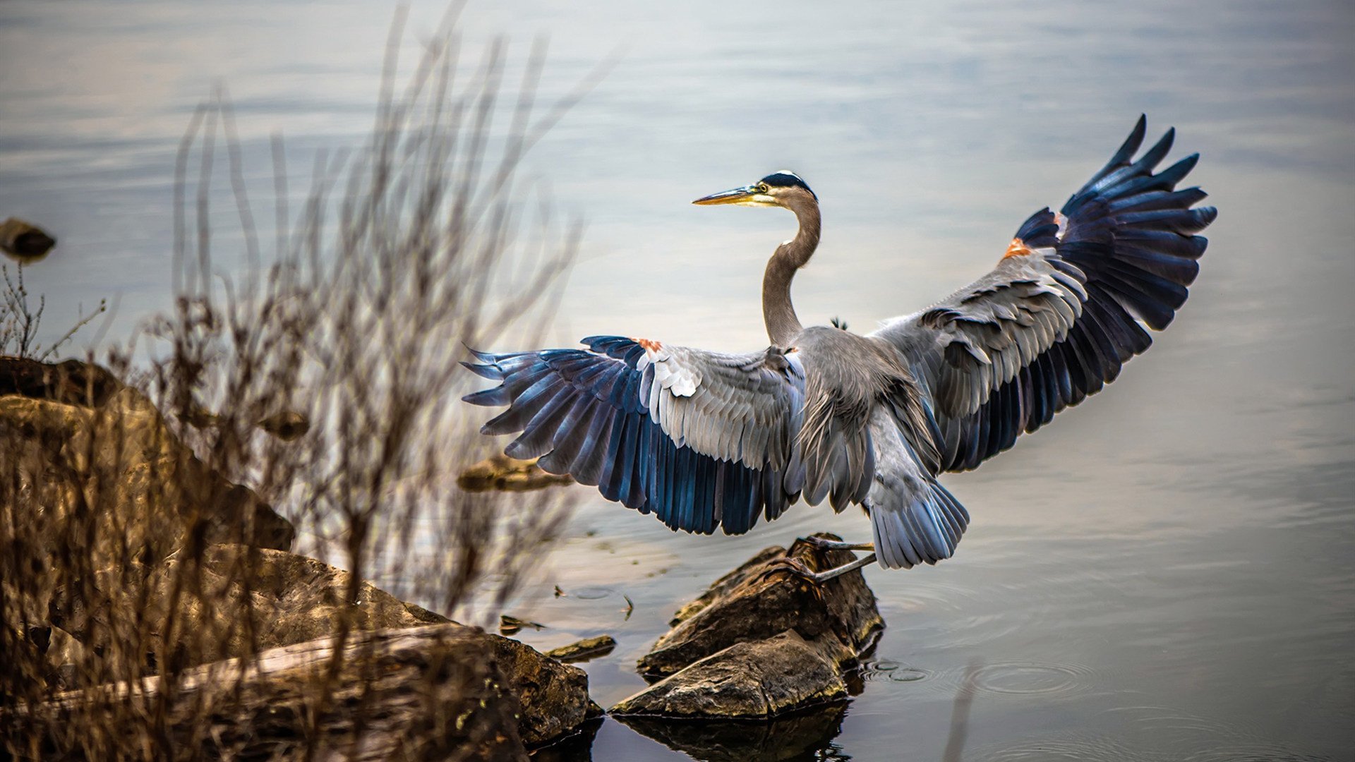 开云 官网 入口-_快船全队协作，迎来佳绩_，快船队全称